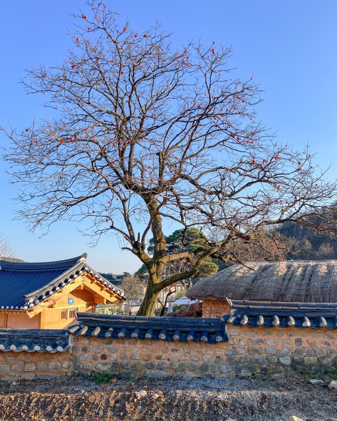 Jukheon Traditional House Guest House Andong Exterior photo